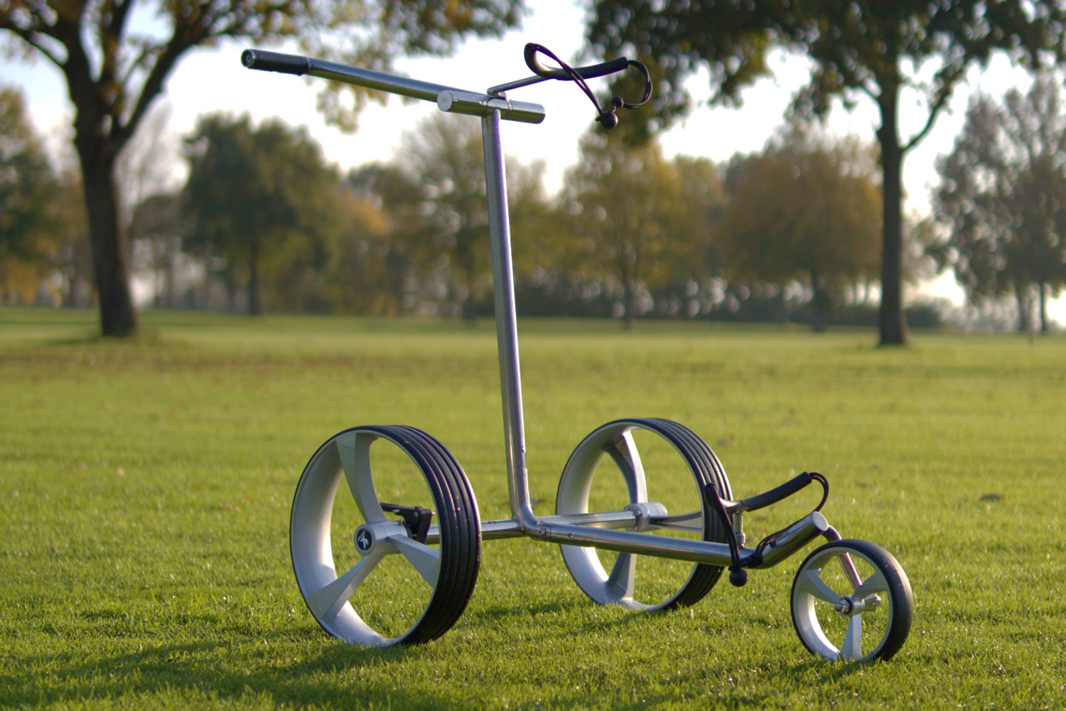 Push Golf Trolley auf einer Wiese
